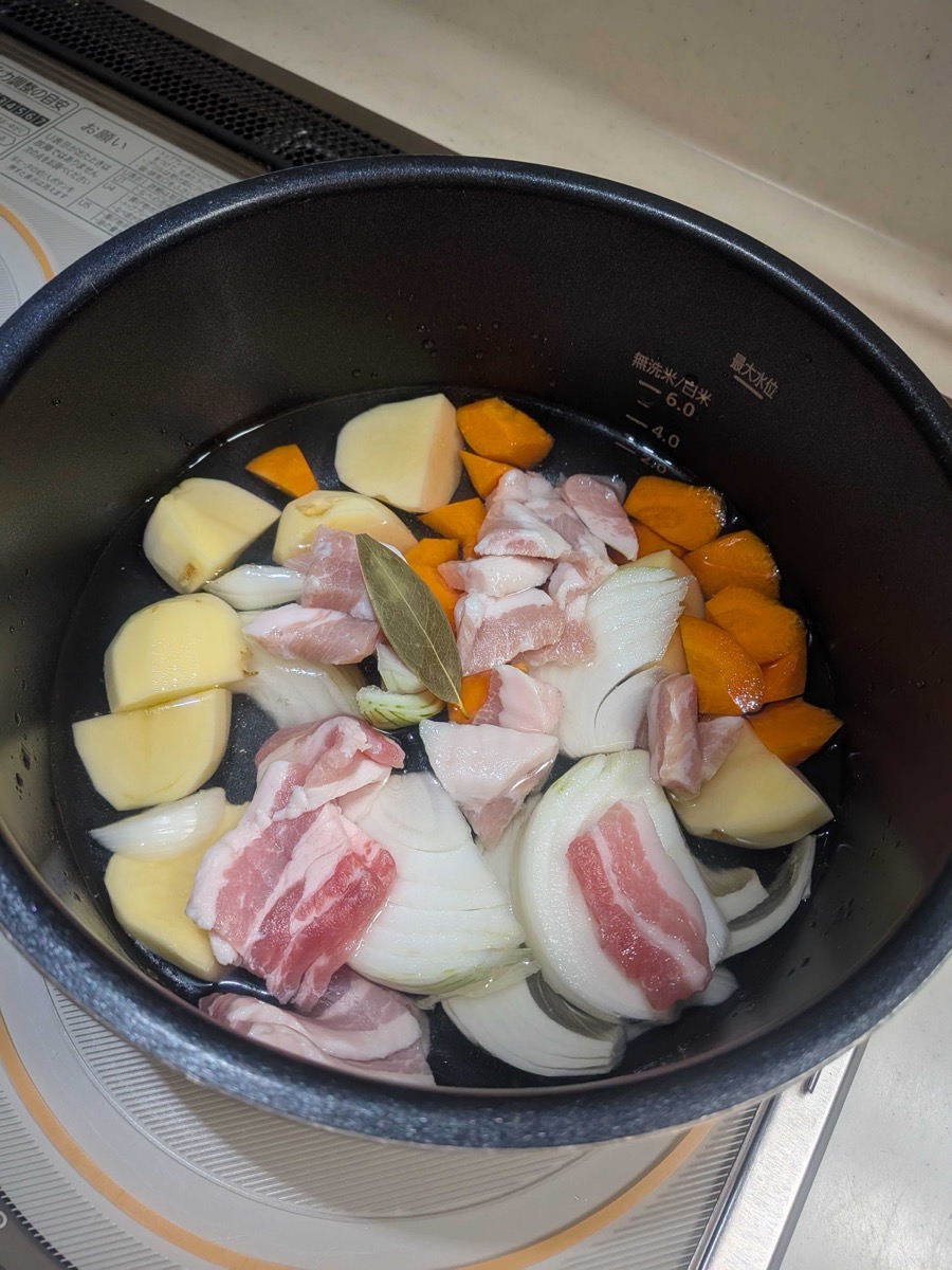 Pork, potato, carrot, onion, and bay leaf loaded raw into the inner pot of an electric pressure cooker