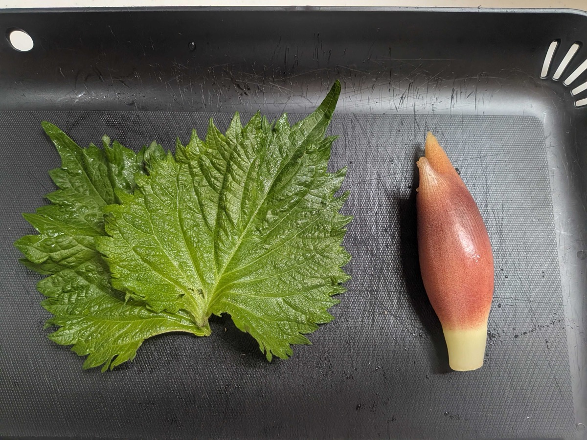 Fresh whole shiso (perilla) leaves and a single pink-tipped myoga bud on a black tray, ready to be shredded for topping