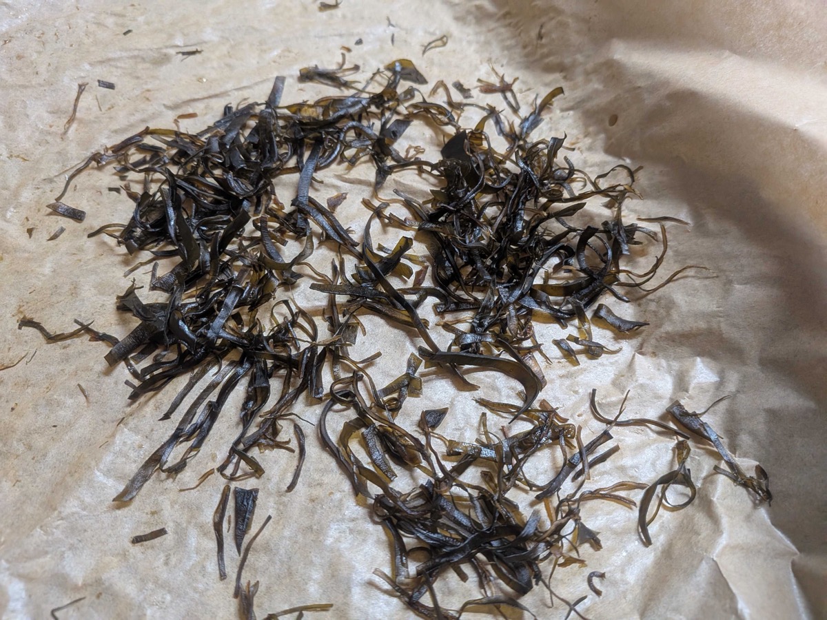 Fully dried dark shio kombu strips resting on brown parchment paper after coming out of the oven — glossy, crisp, and ready to be tossed with finishing salt