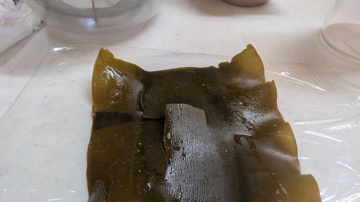 Softened kombu removed from the dashi pot, resting on the counter