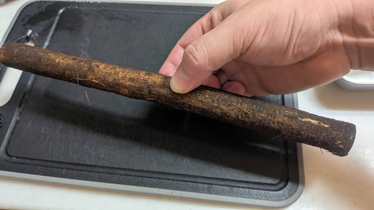 A whole unwashed burdock root with soil on its skin, held over a black cutting board